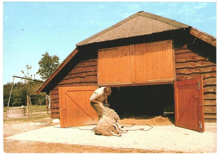 908712 st Anthonis schaapskooi N Br Schaapskooi gelopen, Verzamelen, Ansichtkaarten | Nederland, Noord-Brabant, Ophalen of Verzenden