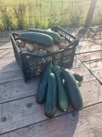 Courgette uit eigen volkstuin!, Ophalen