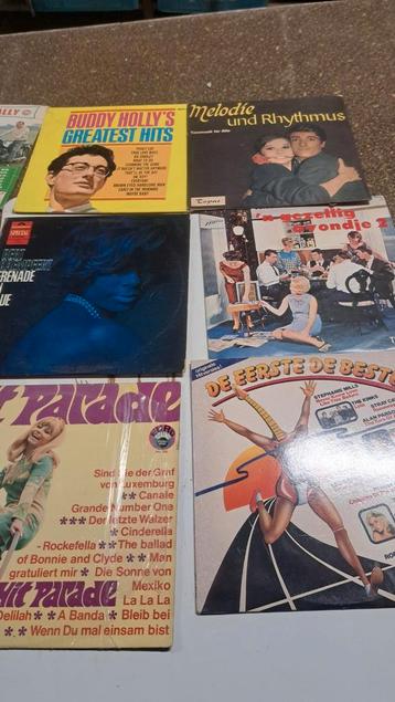 Vintage Vinyl Collectie - Oud Hollands & Meer! beschikbaar voor biedingen