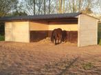 Douglas paardenstal 3x4m en schuilstal 3x6m aan elkaar ..., Dieren en Toebehoren, Stalling en Weidegang, 2 of 3 paarden of pony's