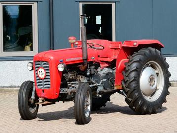 Massey Ferguson 35 2wd / 9998 Draaiuren / Margetrekker beschikbaar voor biedingen