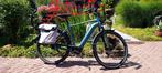 Giant Daily Tour E+2, Heren-maat L, Blauw, Fietsen en Brommers, Elektrische fietsen, Ophalen, Gebruikt, 50 km per accu of meer