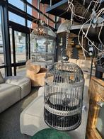 Vogelkooi voor waxinelichtje  windlicht, Ophalen of Verzenden, Zo goed als nieuw, Metaal, Vogelkooi