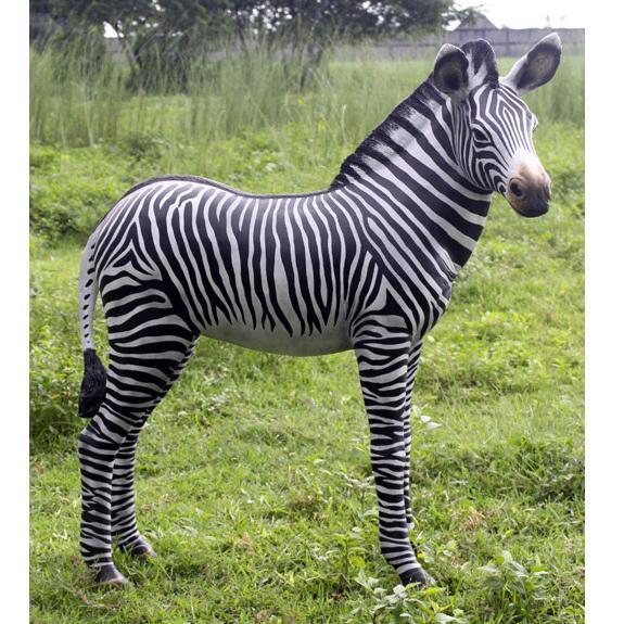 Zebra Veulen beeld - Hoogte 110 cm, Verzamelen, Dierenverzamelingen, Nieuw, Overige typen, Overige soorten, Ophalen