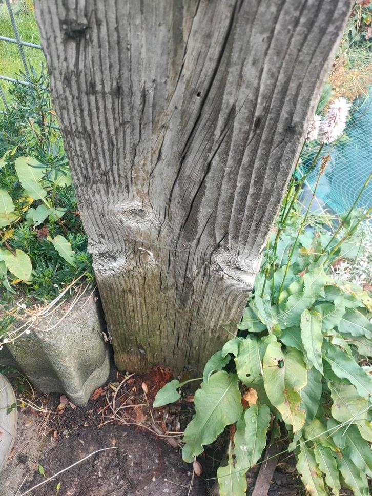 echte EIKEN spoorbiel van 235 cm, Tuin en Terras, Bielzen en Borders, Zo goed als nieuw, Biels, Hout, 50 cm of meer, 200 cm of meer