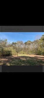 Te koop recreatiegrond voor dier en mens.