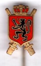 Staf van de Binnenlandse Strijdkrachten speldje ( Z_019 ), Verzenden, Zo goed als nieuw, Stad of Land, Speldje of Pin