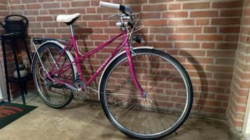 Vintage Peugeot Bretagne Racefiets beschikbaar voor biedingen