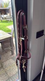 Anky halster full + halstertouw, Dieren en Toebehoren, Paarden en Pony's | Hoofdstellen en Tuigage, Ophalen of Verzenden, Zo goed als nieuw