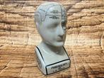 Phrenology hoofd (Medici hoofd) theorie L.N. Fowler., Ophalen of Verzenden