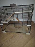 Zeer nette kooi voor knaagdieren. Maten zie beschrijving, Kooi, Minder dan 75 cm, Zo goed als nieuw, Ophalen