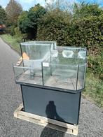 Eiland aquarium opgedeeld in 4 dmv overloop, vissen, koralen, Dieren en Toebehoren, Ophalen, Zo goed als nieuw, Leeg aquarium