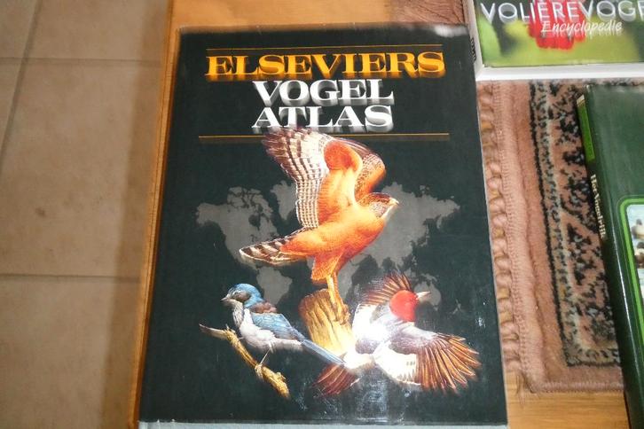 Vogelboeken, Boeken, Dieren en Huisdieren, Zo goed als nieuw, Vogels, Ophalen of Verzenden