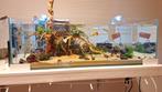 Nano aquarium, Dieren en Toebehoren, Vissen | Aquaria en Toebehoren, Ophalen, Zo goed als nieuw, Gevuld zoetwateraquarium