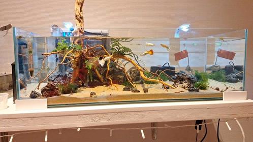 Nano aquarium, Dieren en Toebehoren, Vissen | Aquaria en Toebehoren, Zo goed als nieuw, Gevuld zoetwateraquarium, Ophalen