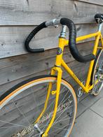SINGLESPEED PISTA (Nieuw), Fietsen en Brommers, Fietsen | Racefietsen, Staal, Nieuw, 53 tot 57 cm, Ophalen