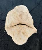 Boomstam tafelblad 73 cm, Ophalen of Verzenden, Zo goed als nieuw