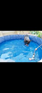 Zooplus hondenzwembad 160cm  doorsnee x 30 cm hoog, Dieren en Toebehoren, Honden-accessoires, Ophalen of Verzenden, Zo goed als nieuw