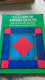 Amisch quilts, Ophalen of Verzenden, Gelezen, Borduren en Naaien