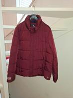 Gaastra Jas - Perfect voor de koudere dagen!, Kleding | Dames, Jassen | Zomer, Gaastra, Maat 46/48 (XL) of groter, Ophalen of Verzenden