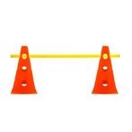 Huisdier Behendigheid Training - agility honden