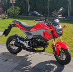 Honda MSX 125 GROM / A1 motor / 2017, Motoren, Motoren | Honda, Naked bike, Particulier, 125 cc, 1 cilinder