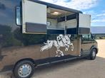 Super mooie nette Renault Master 2 paards b rijbewijs, Dieren en Toebehoren, Paarden en Pony's | Trailers en Aanhangwagens, Ophalen