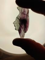 Fluoriet vogeltje, Ophalen of Verzenden