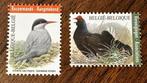België 2013 Vogels Postzegels - Postfris, Postzegels en Munten, Postzegels | Europa | België, Ophalen of Verzenden, Postfris