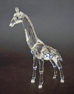 Swarovski baby giraffe, Verzamelen, Swarovski, Ophalen of Verzenden, Zo goed als nieuw