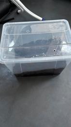 2 miljoen poten met bak en al, Ophalen, Zo goed als nieuw, Terrarium of Paludarium