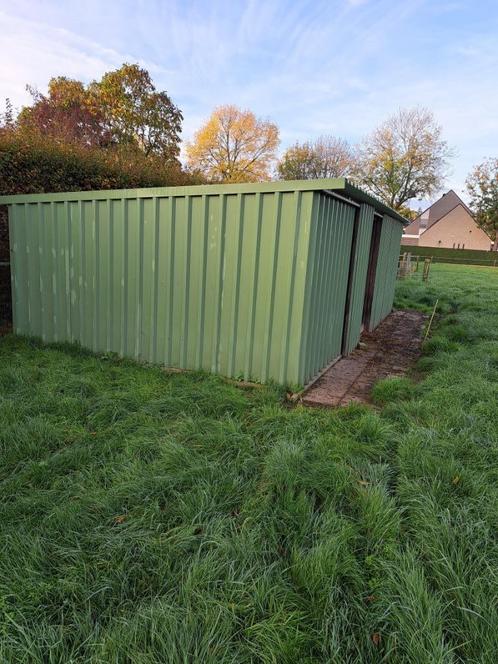 Schapenstal /Opslagruimte, Dieren en Toebehoren, Schapen, Geiten en Varkens, Schaap, Vrouwelijk