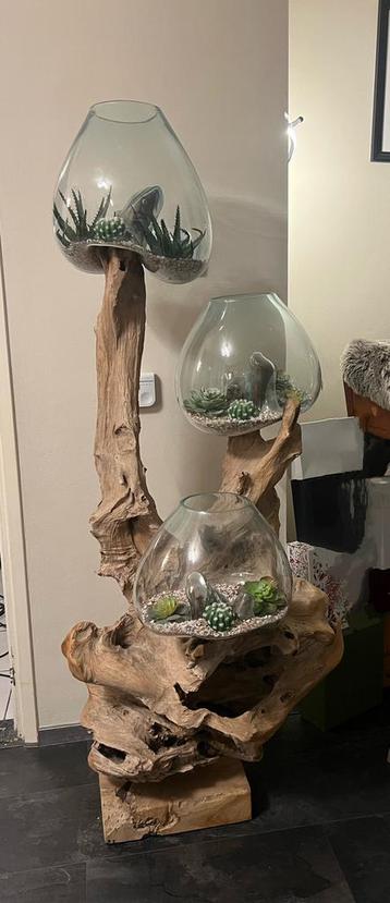 Boom met vazen beschikbaar voor biedingen