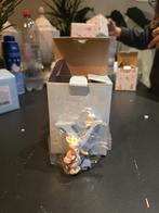 Beatrix Potter letter Y - Pigling Bland, Verzenden, Nieuw