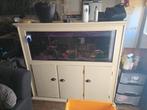 Aquarium te koop, Dieren en Toebehoren, Vissen | Aquaria en Toebehoren, Ophalen, Zo goed als nieuw, Gevuld zoetwateraquarium