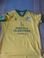 Fortuna Sittard, Verzamelen, Sportartikelen en Voetbal, Ophalen of Verzenden, Zo goed als nieuw, PSV, Shirt