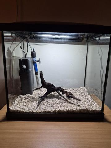 aquarium beschikbaar voor biedingen