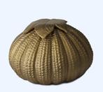 Urn steen 350 ml, Ophalen of Verzenden, Nieuw