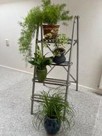 Gietijzeren trap, leuk voor decoratie voor binnen of buiten, Ophalen, Gebruikt, Minder dan 60 cm, Rond