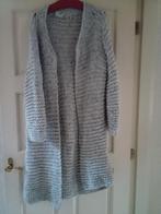 vest, Kleding | Dames, Truien en Vesten, Ophalen of Verzenden, Zo goed als nieuw, Maat 38/40 (M), Grijs