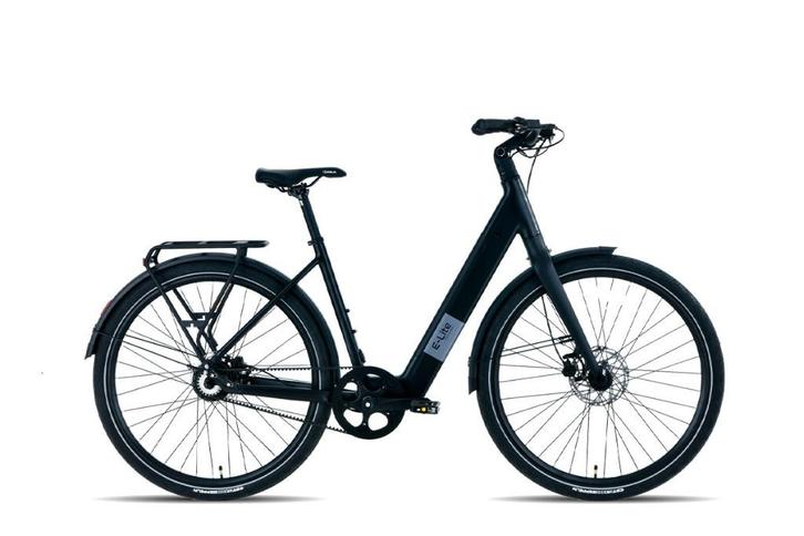 Avalon E-Lite Elektrischefiets - Licht, Krachtig en Stijlvol, Fietsen en Brommers, Elektrische fietsen, Nieuw, Overige merken
