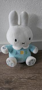 Nijntje Pratende Knuffel, Kinderen en Baby's, Speelgoed | Knuffels en Pluche, Ophalen, Gebruikt, Konijn