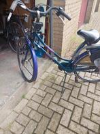 Damesfiets - Gebruikt, Ophalen, Batavus Locarno, Handrem, 53 tot 56 cm