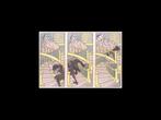 Originele jugendstil prent Onder de rok, Gebruikt, -, Verzenden, -