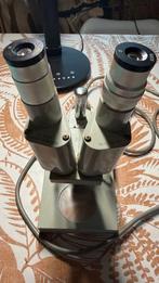 Stereo Microscoop - Euromex-Arnhem Model 50, Ophalen, Gebruikt, Minder dan 400x, Stereomicroscoop