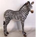 Zebra Veulen beeld - Hoogte 110 cm, Ophalen, Nieuw, Overige soorten, Overige typen