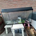 Te koop: Aquarium met toebehoren 80x35x40, Gebruikt, Ophalen, Leeg aquarium