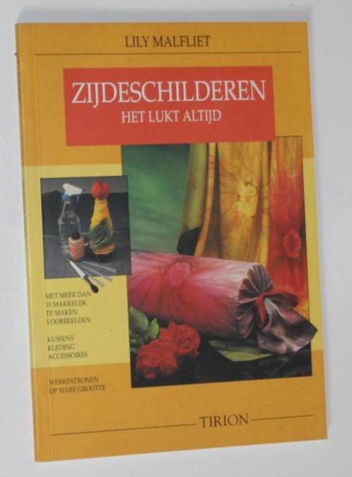 ZIJDESCHILDEREN - Lily Malfliet - 106084, Boeken, Hobby en Vrije tijd, Zo goed als nieuw, Tekenen en Schilderen, Ophalen of Verzenden