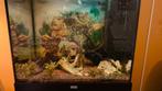 AQUARIUM, Juwel. (evt, met OnderKast). Met veel toebehoren., Dieren en Toebehoren, Ophalen, Zo goed als nieuw, Gevuld zoetwateraquarium