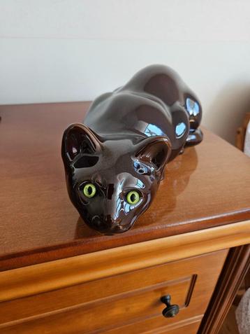 Kat met groene ogen beschikbaar voor biedingen